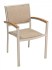 Outdoor Commercial Arm Chair with Natural Weave and Silver Frame